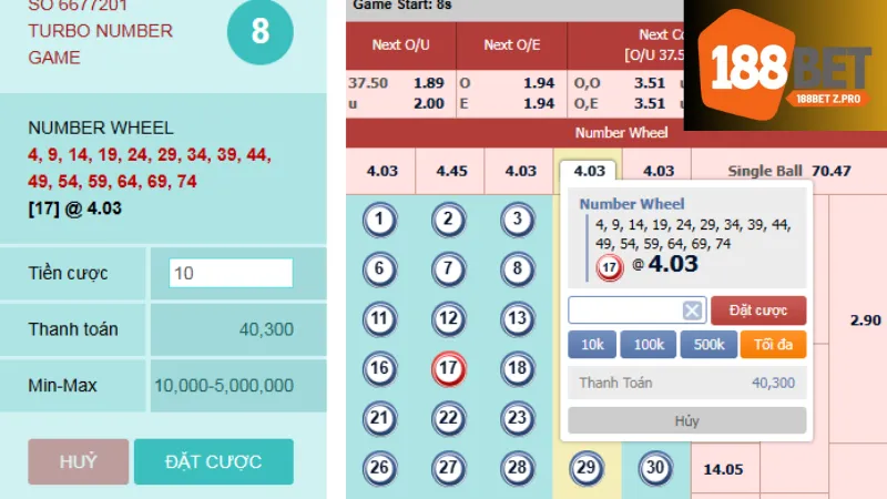 Các loại hình cược trong Number game
