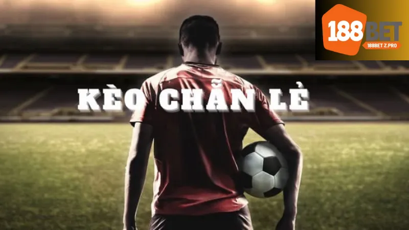 Chiến lược đặt cược hiệu quả cho kèo chẵn lẻ